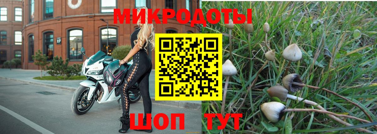 Холмск  Галлюциногенные грибы Psilocybine cubensis  Галлюциногенные грибы GOLDEN TEACHER  Вход с VPN 