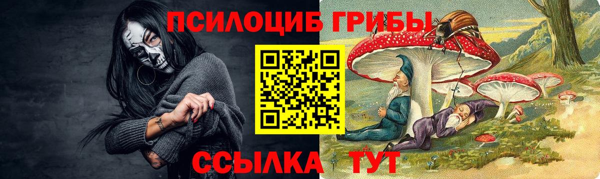 Псилоцибиновые грибы мухоморы Холмск
